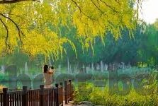单价足球即时比分-单价足球即时比分,洞察绿茵风云,掌握赛事脉搏
