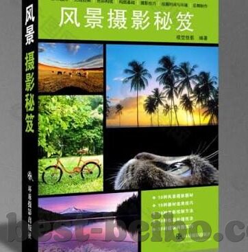世界杯这次突尼斯-突尼斯在世界杯舞台上的闪耀,足球之魂的展现